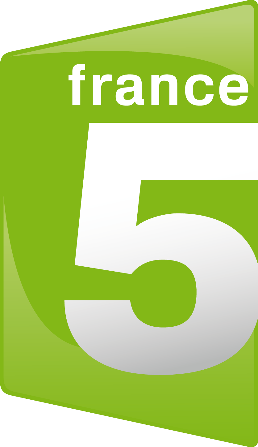 france 5 tnt hd